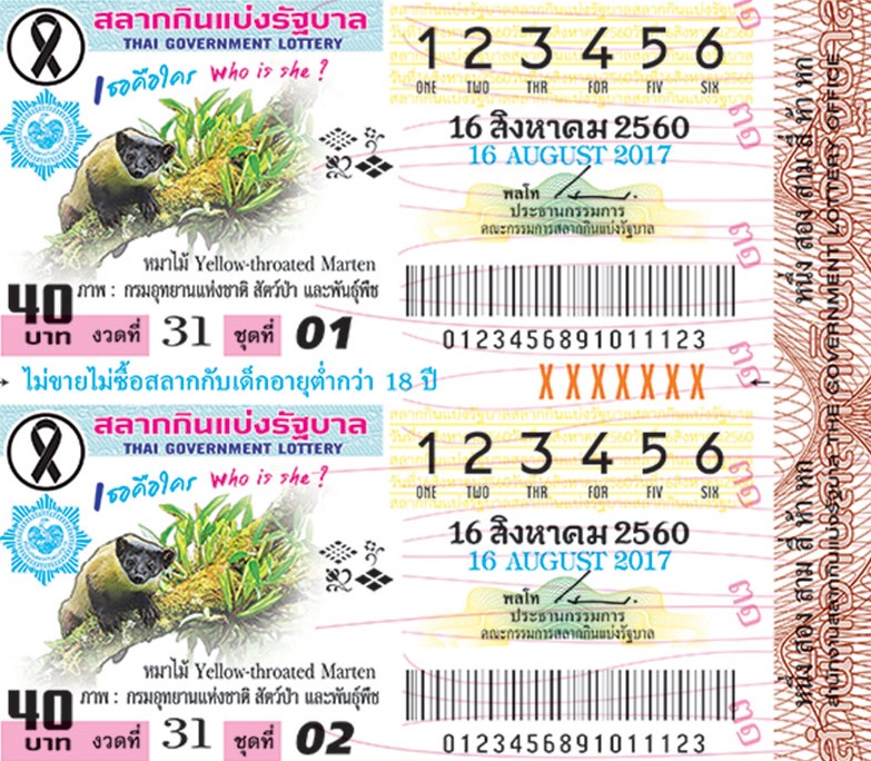 ตัวอย่างสลากกินแบ่งรัฐบาลงวดประจำวันที่ 16 สิงหาคม 2560